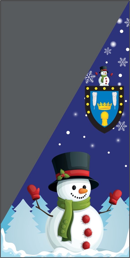 Flag Design 1