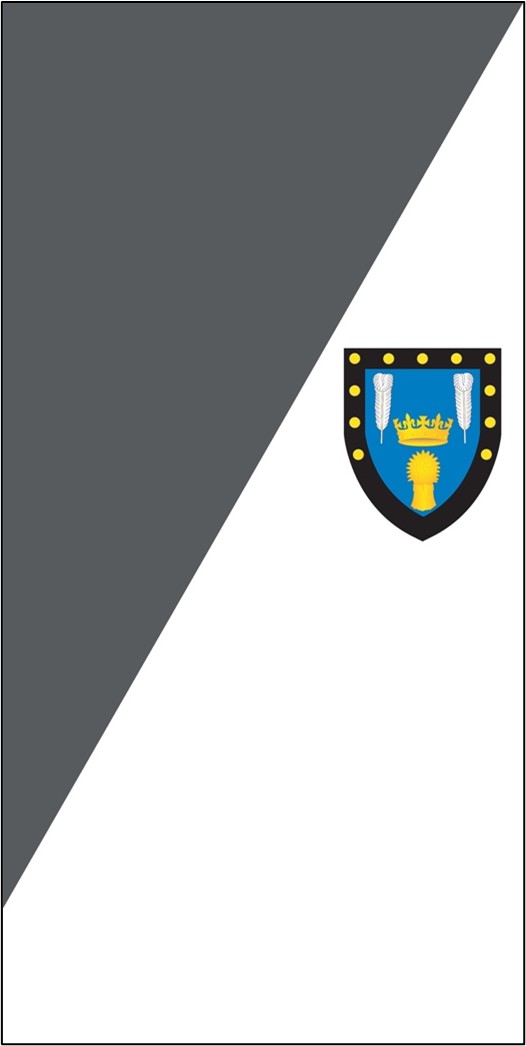 Flag Design 2
