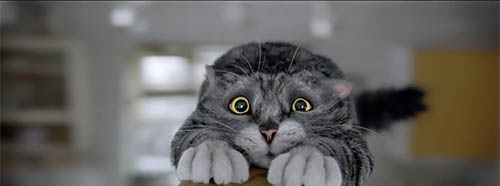 Sainsbury's Xmas Advert 2015
